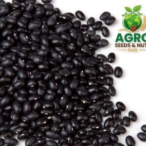 Black Kidney Beans