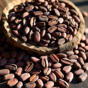 Premium cocoa beans