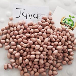 Java Peanuts