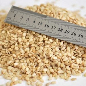 Natural Sesame Seeds