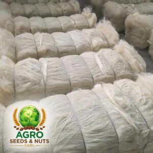 Natural Sisal Fiber